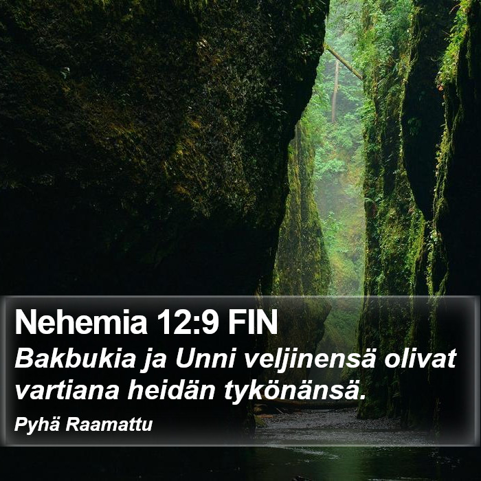 Nehemia 12:9 FIN Bible Study