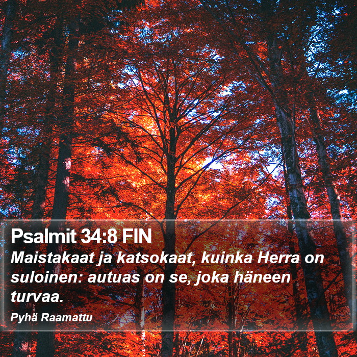 Psalmit 34:8 FIN Bible Study