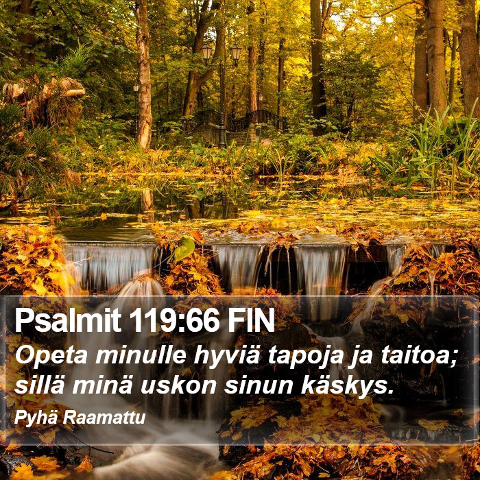 Psalmit 119:66 FIN Bible Study