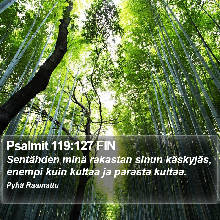 Psalmit 119:127 FIN Bible Study