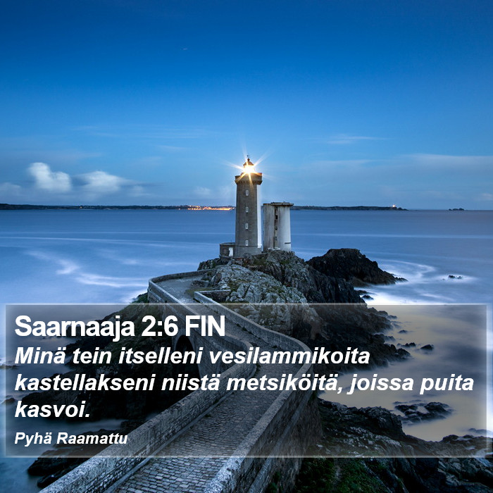 Saarnaaja 2:6 FIN Bible Study