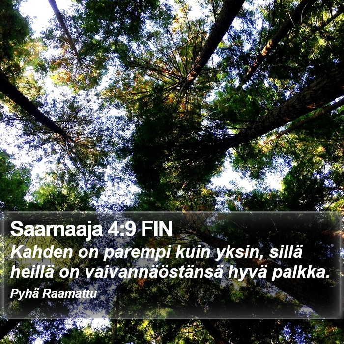 Saarnaaja 4:9 FIN Bible Study