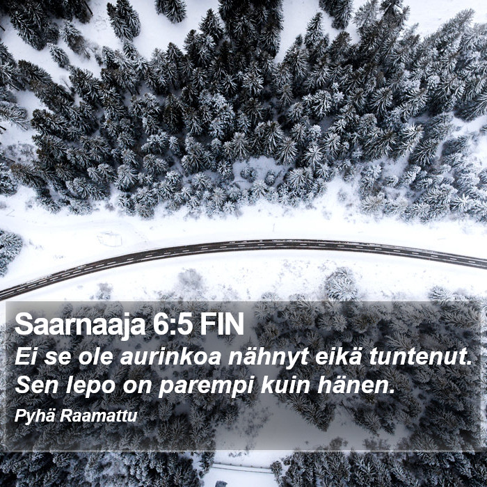Saarnaaja 6:5 FIN Bible Study