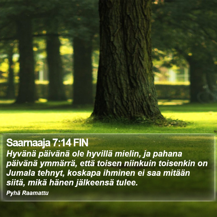 Saarnaaja 7:14 FIN Bible Study