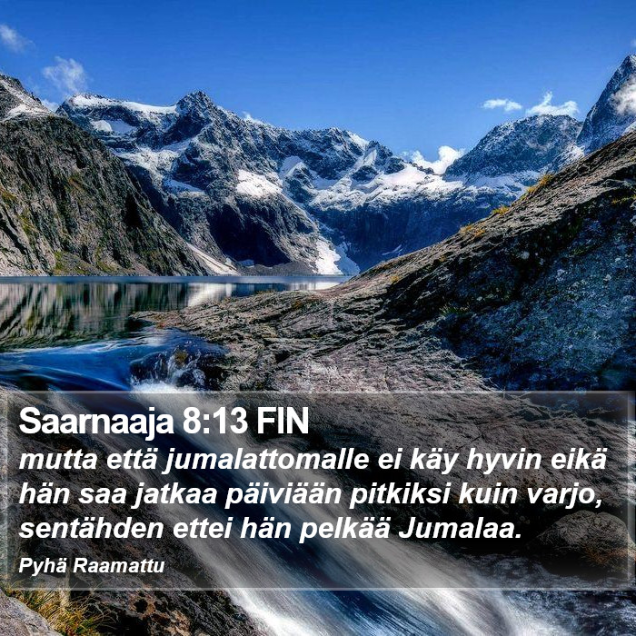 Saarnaaja 8:13 FIN Bible Study