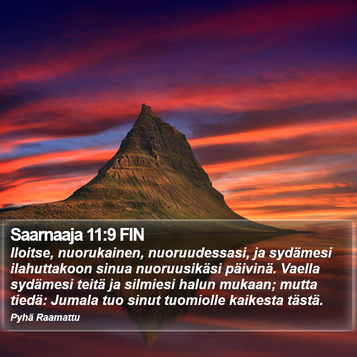 Saarnaaja 11:9 FIN Bible Study