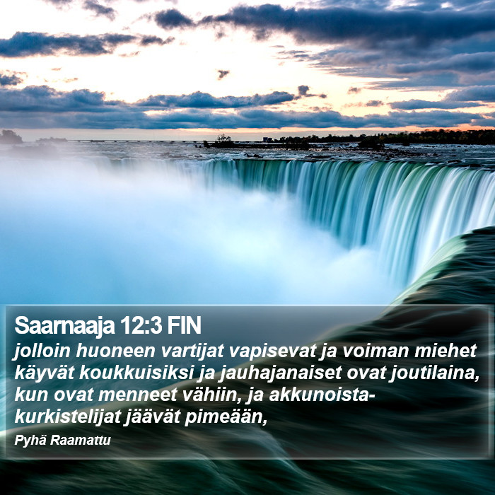 Saarnaaja 12:3 FIN Bible Study