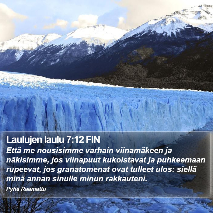Laulujen laulu 7:12 FIN Bible Study