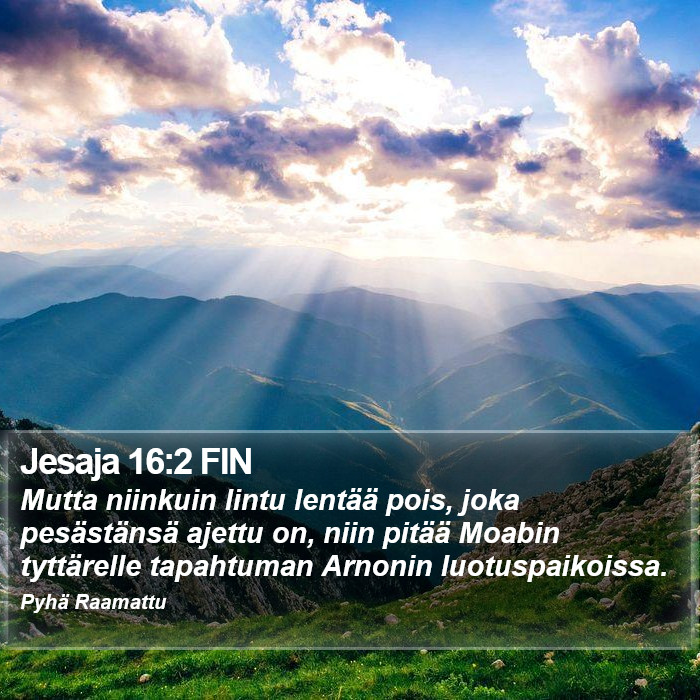 Jesaja 16:2 FIN Bible Study