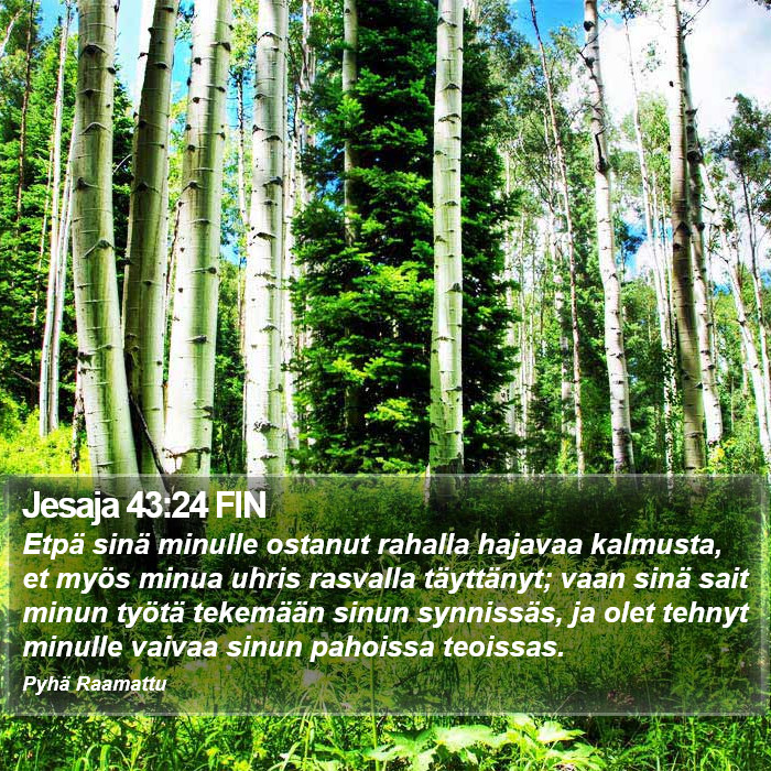 Jesaja 43:24 FIN Bible Study