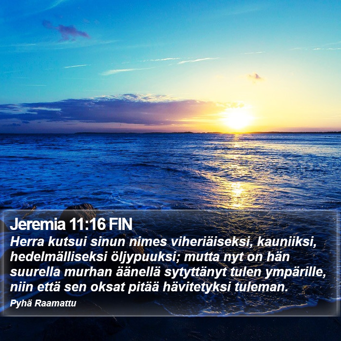 Jeremia 11:16 FIN Bible Study