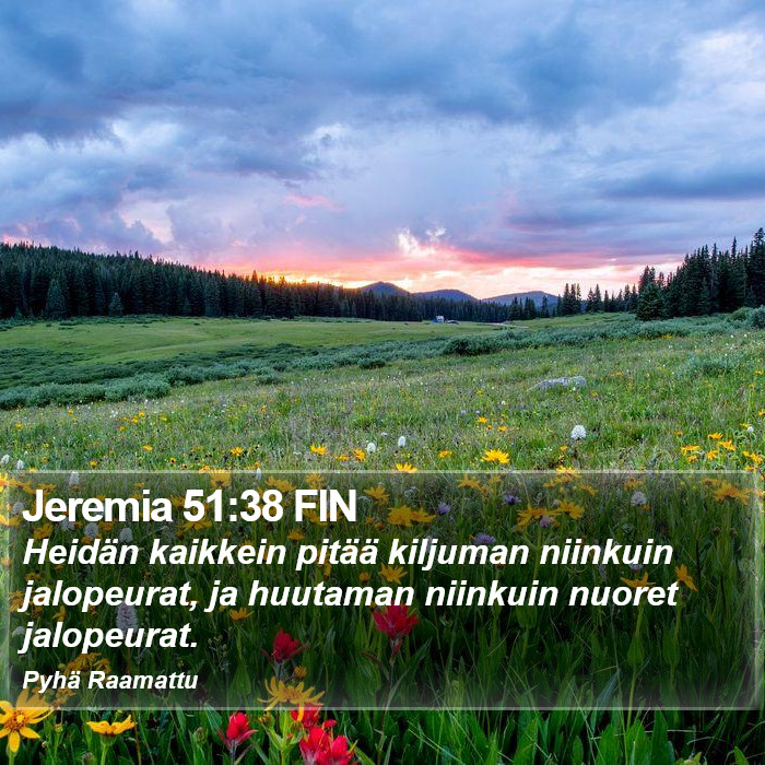 Jeremia 51:38 FIN Bible Study