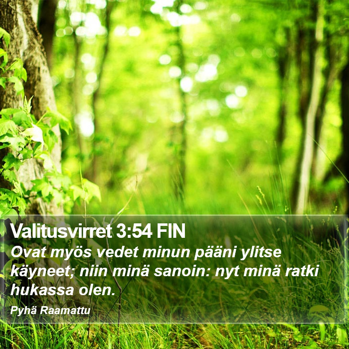 Valitusvirret 3:54 FIN Bible Study