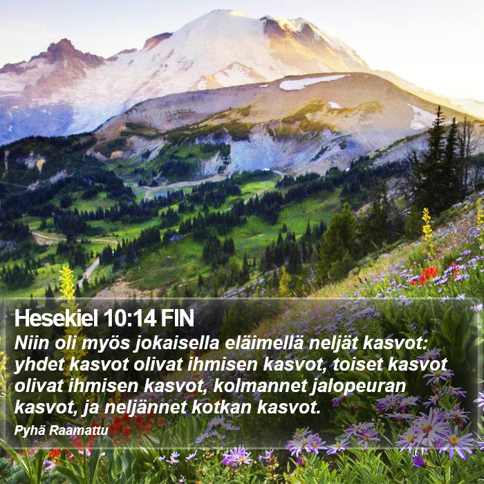 Hesekiel 10:14 FIN Bible Study