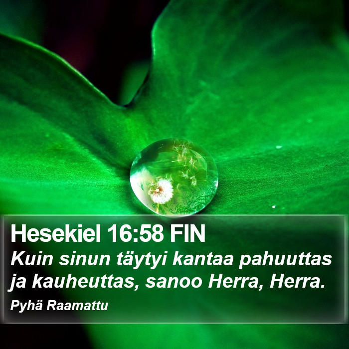 Hesekiel 16:58 FIN Bible Study