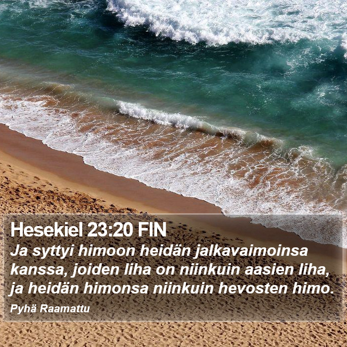 Hesekiel 23:20 FIN Bible Study