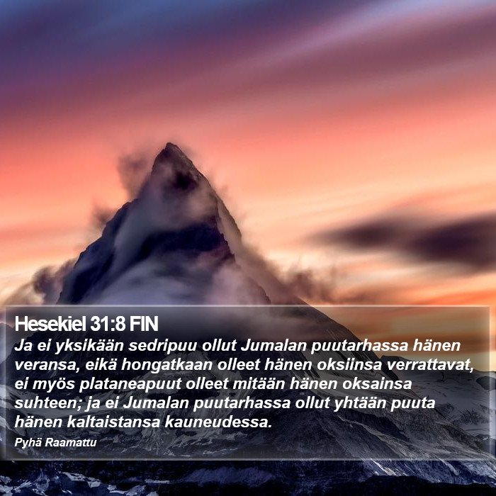 Hesekiel 31:8 FIN Bible Study