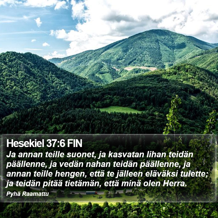 Hesekiel 37:6 FIN Bible Study