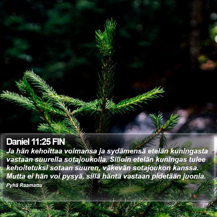 Daniel 11:25 FIN Bible Study