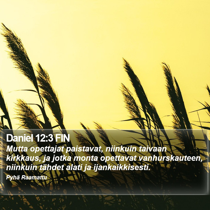 Daniel 12:3 FIN Bible Study