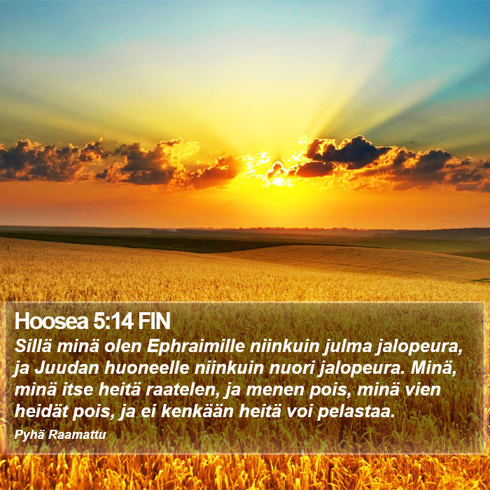 Hoosea 5:14 FIN Bible Study