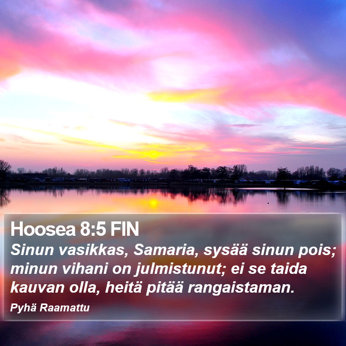 Hoosea 8:5 FIN Bible Study