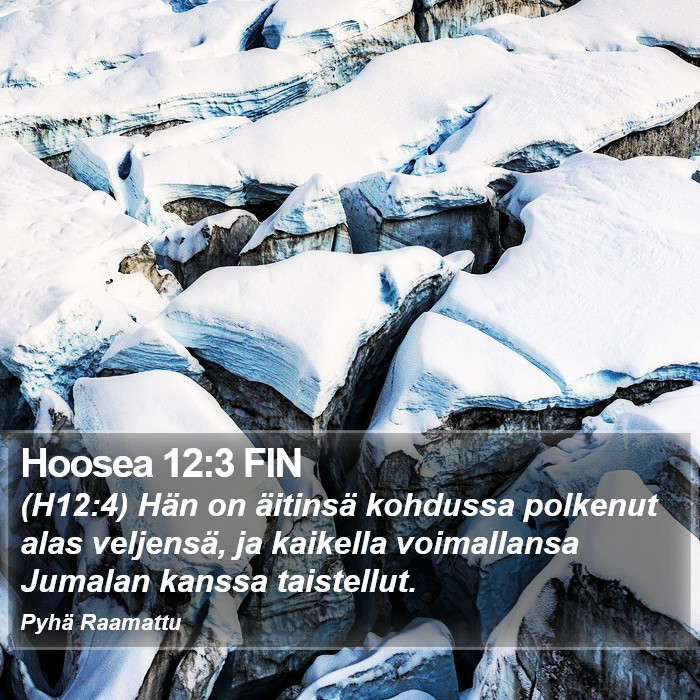 Hoosea 12:3 FIN Bible Study