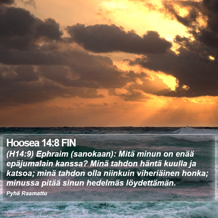 Hoosea 14:8 FIN Bible Study