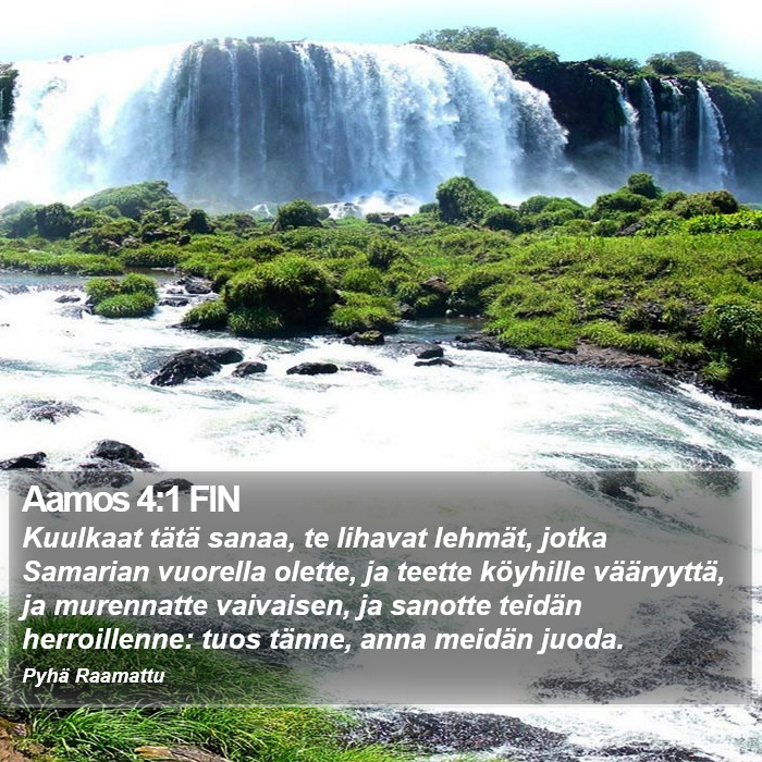 Aamos 4:1 FIN Bible Study