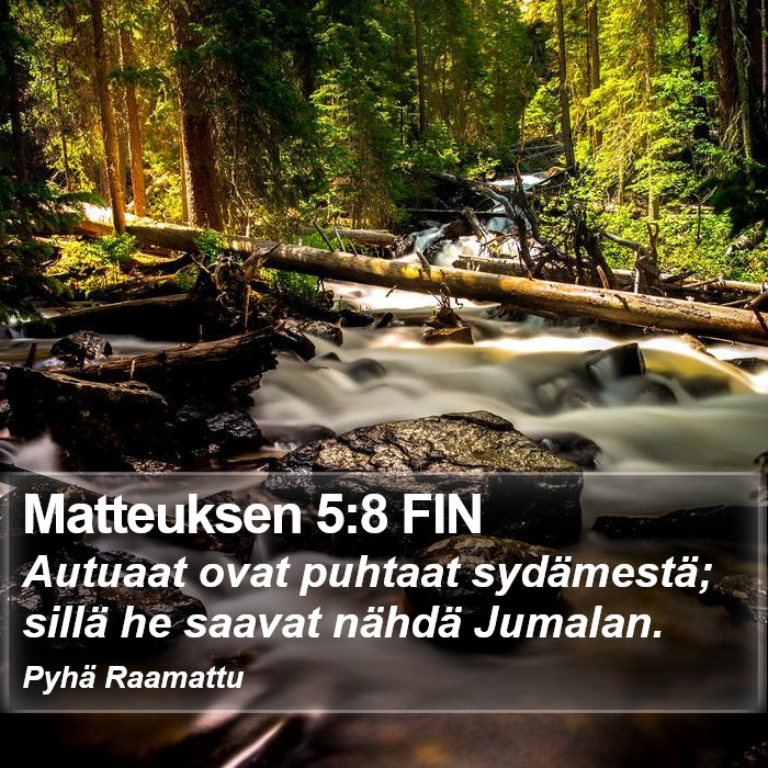 Matteuksen 5:8 FIN Bible Study