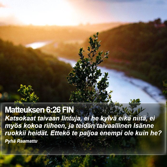 Matteuksen 6:26 FIN Bible Study