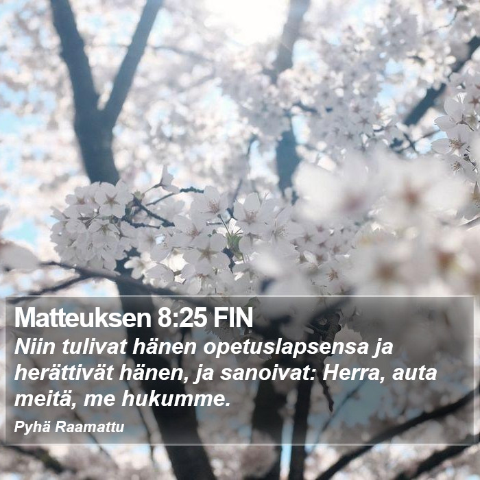 Matteuksen 8:25 FIN Bible Study