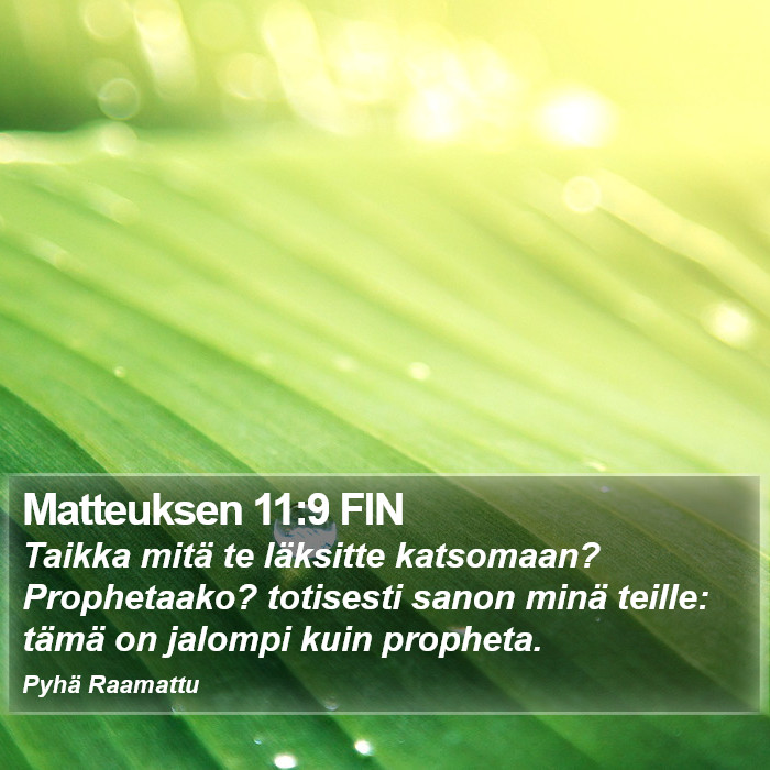 Matteuksen 11:9 FIN Bible Study