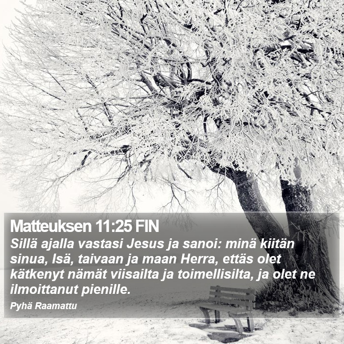 Matteuksen 11:25 FIN Bible Study