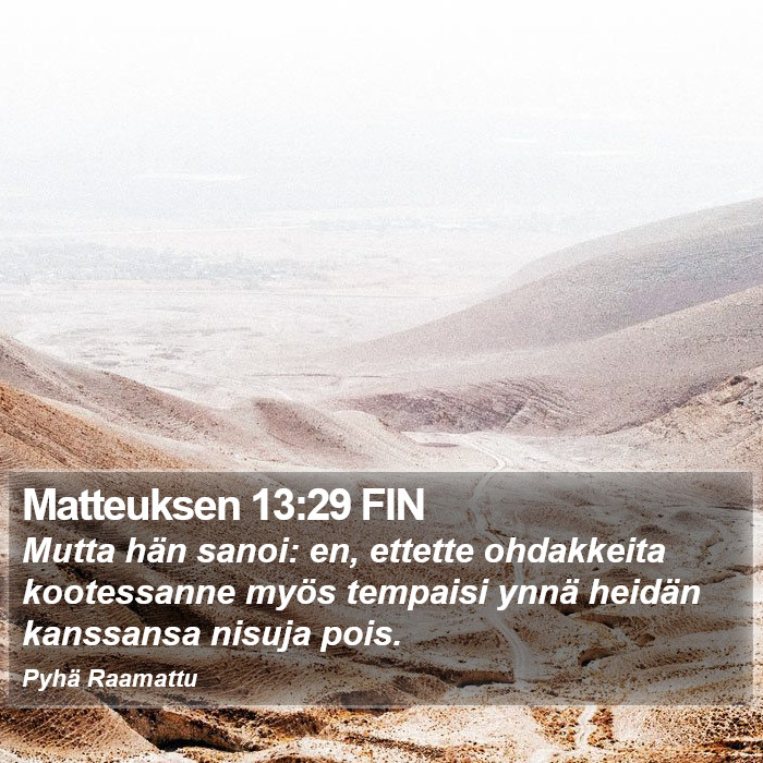 Matteuksen 13:29 FIN Bible Study