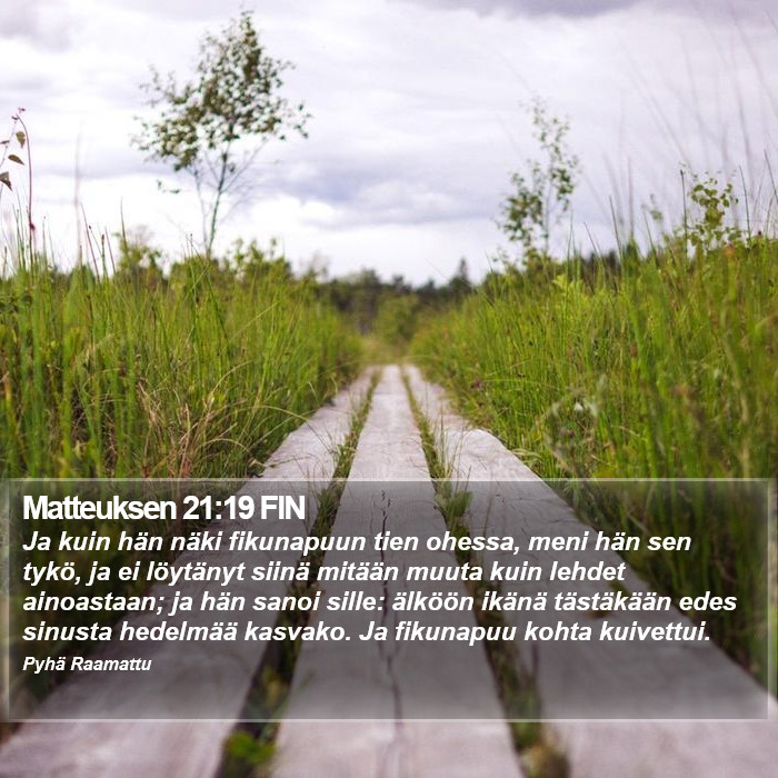 Matteuksen 21:19 FIN Bible Study