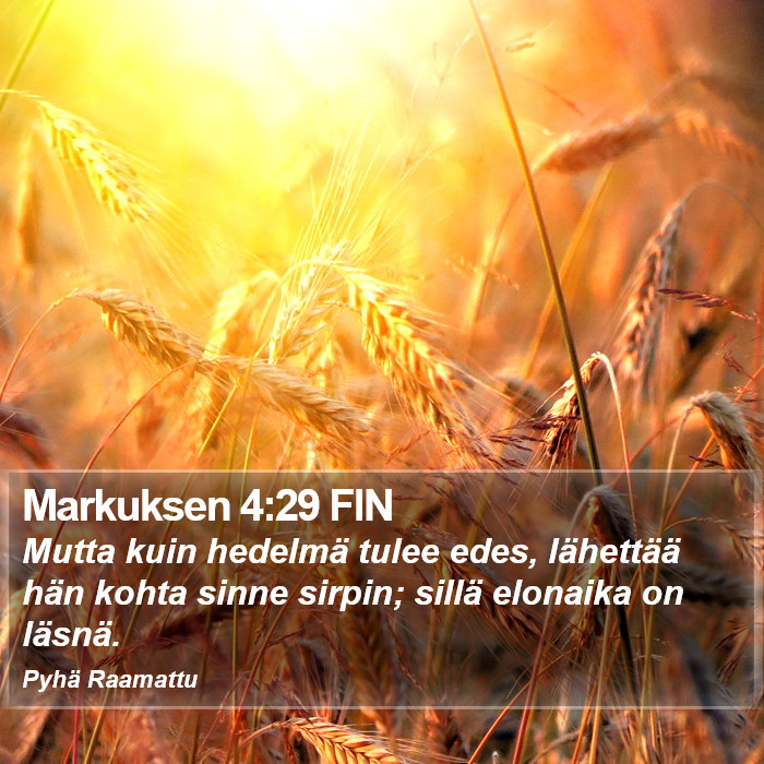 Markuksen 4:29 FIN Bible Study