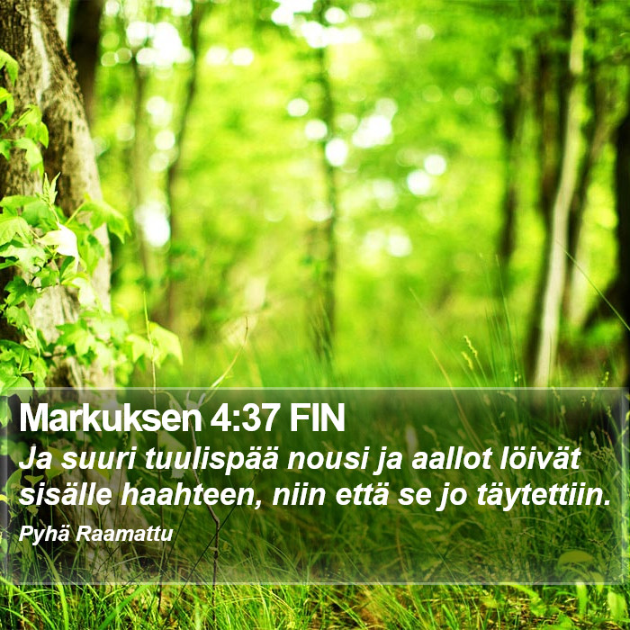 Markuksen 4:37 FIN Bible Study
