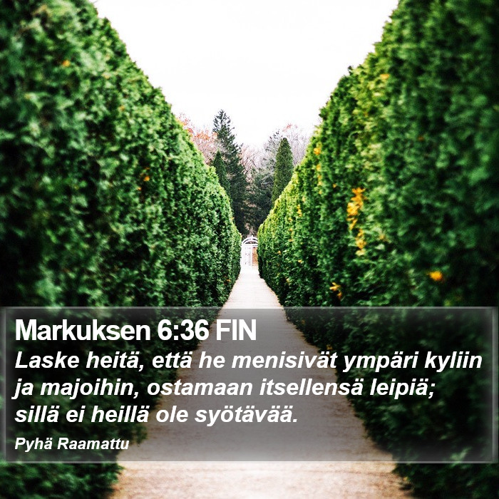 Markuksen 6:36 FIN Bible Study