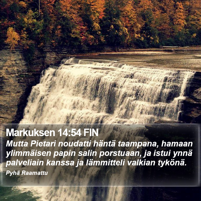Markuksen 14:54 FIN Bible Study