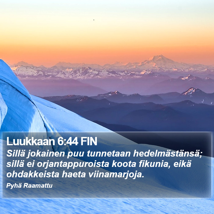 Luukkaan 6:44 FIN Bible Study