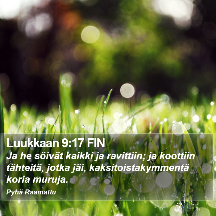 Luukkaan 9:17 FIN Bible Study