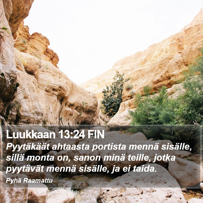 Luukkaan 13:24 FIN Bible Study