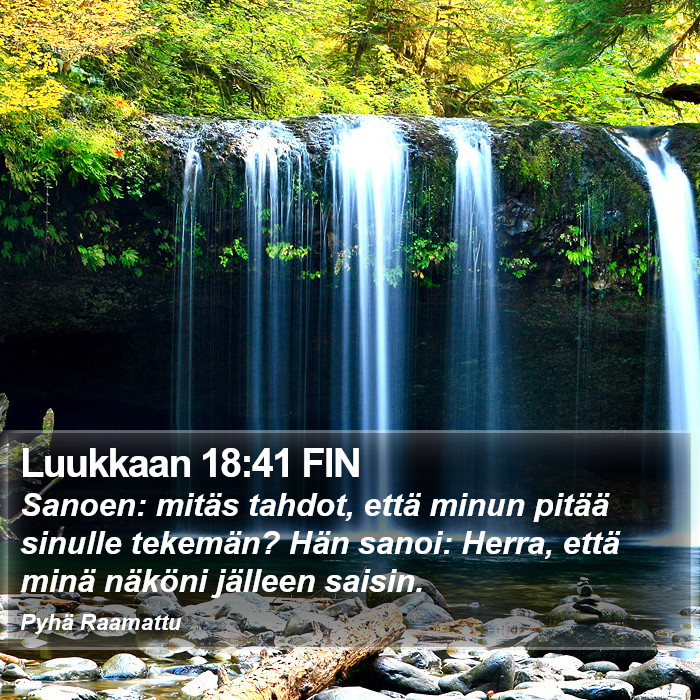 Luukkaan 18:41 FIN Bible Study