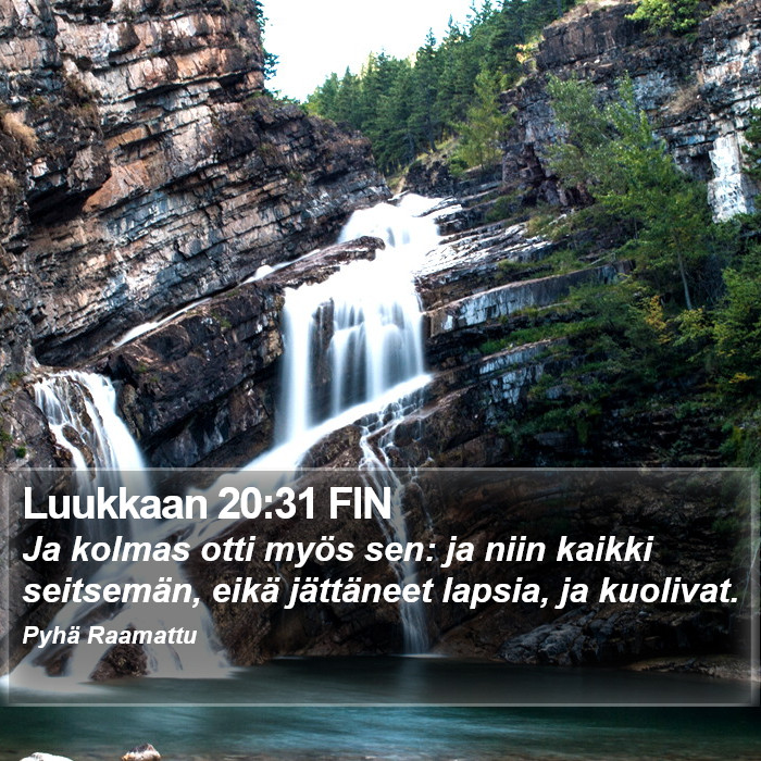 Luukkaan 20:31 FIN Bible Study