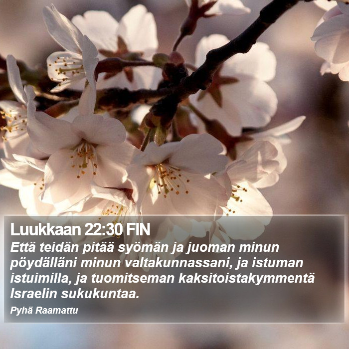 Luukkaan 22:30 FIN Bible Study