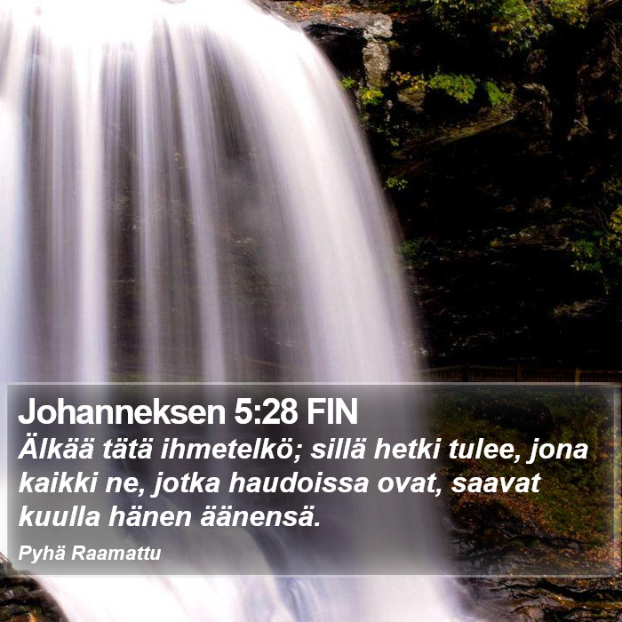 Johanneksen 5:28 FIN Bible Study