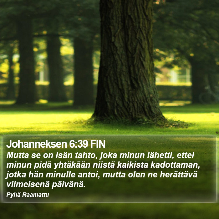 Johanneksen 6:39 FIN Bible Study
