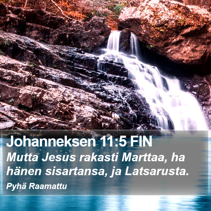 Johanneksen 11:5 FIN Bible Study