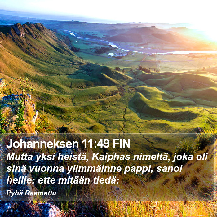 Johanneksen 11:49 FIN Bible Study